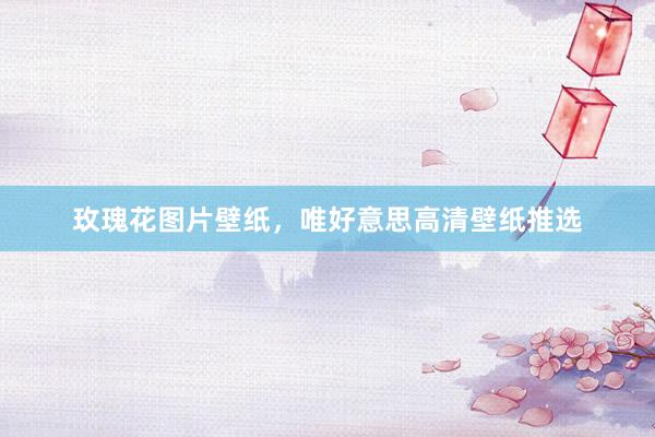 玫瑰花图片壁纸,唯好意思高清壁纸推选